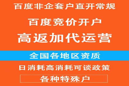深度解析：百度竞价广告的投放效果与ROI